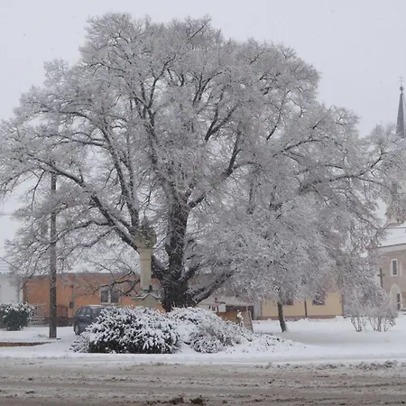 Hidlab Appartement *